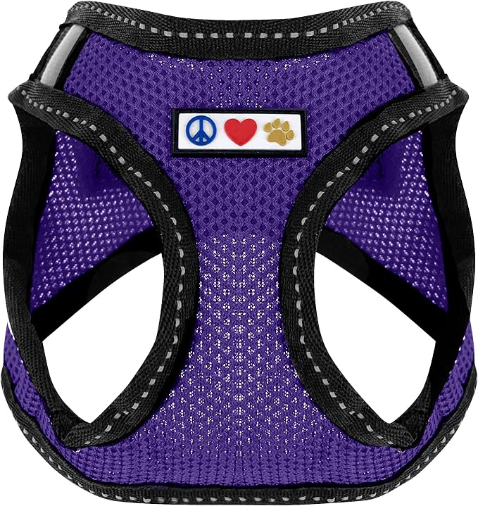 Pawtitas Dog Vest Harness Made with Breathable Air Mesh | All Weather Vest Harness for Extra Small Puppies and Large Cats with Quick-Release Buckle - Extra Small Purple Mesh Dog Harness