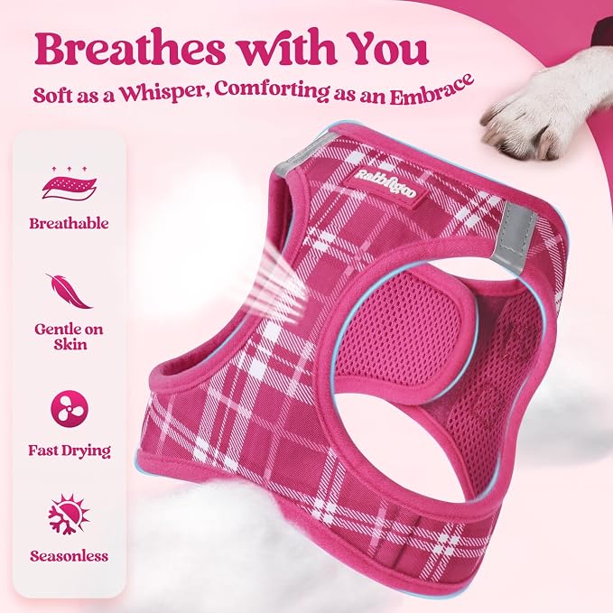 rabbitgoo Dog Harness Small Sized and Leash Set, Step-in Puppy Pet Vest | Light, Soft, Breathable Air Mesh, Easy on and Remove with Hook & Loop, Secure Reflective for Walking, Rose Red Plaid M