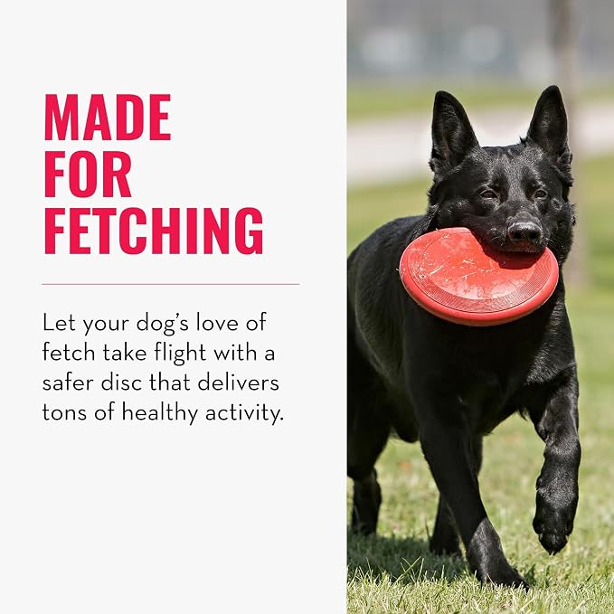 KONG Flyer, Natural Rubber Flying Disc, for Small Dogs (Pack of 2) | Durable KONG Natural Rubber Flying Disc for Fetch, a Safer Disc for Healthy Outdoor Activity & Active Play