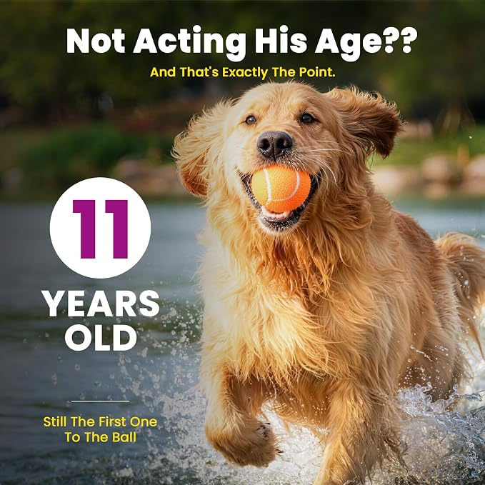 VUN Senior Dog NAD+ Longevity Supplement,NMN Healthy Aging Chews for Dogs