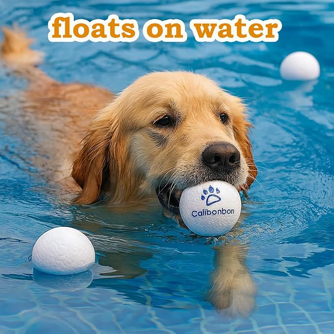 Durable Dog Herding Ball, ETPU, Floating, Interactive Bouncy