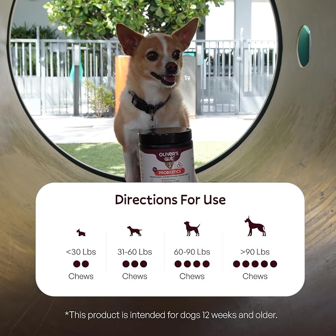 Oliver's Gut Probiotics for Dogs, Digestion Health · 6-Strain Probiotics · Immune Support. Papaya & Pumpkin Powder. Beef Bone Broth Powder. Gut Health. Beef - 120 Count.