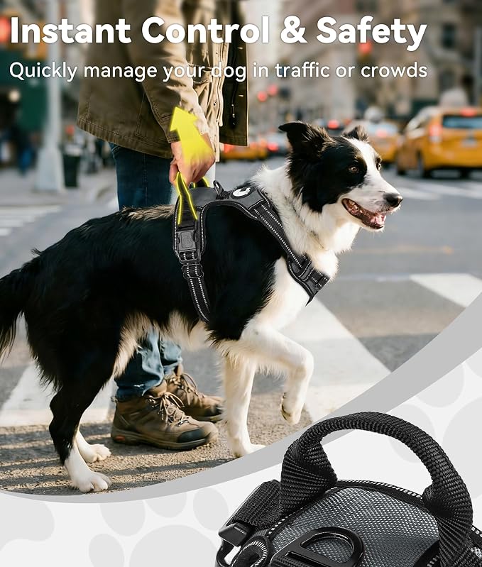 Joytale No Pull Dog Harness for Extra Large Dogs, Front Clip, Gray | Grab Handle for Instant Control, Padded & Adjustable Vest, Sturdy Metal D-Rings, for Safe Training & Daily Walking
