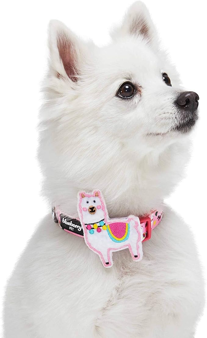 Blueberry Pet Happy Llamas Adjustable Dog Collar with Detachable Décor, Medium, Neck 14.5"-20"