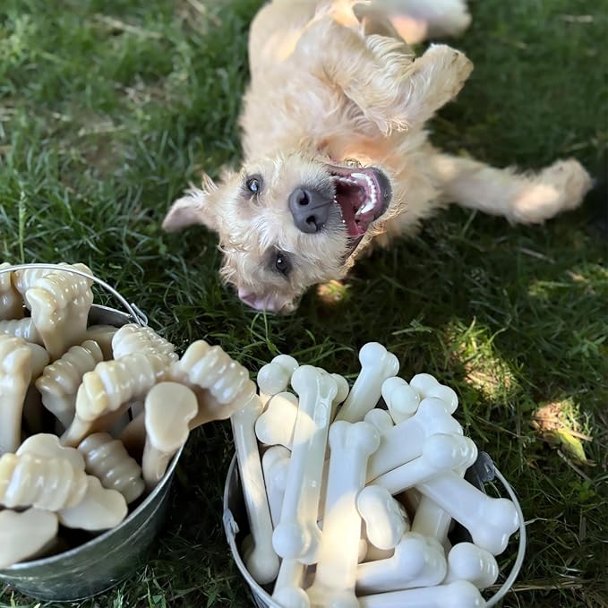 Nylabone Power Chew Original Bone Dog Chew Toy, Chicken Flavor, Small | Durable chew toys, discourages destructive chewing, long lasting, flavor throughout, for dogs up to 25 pounds