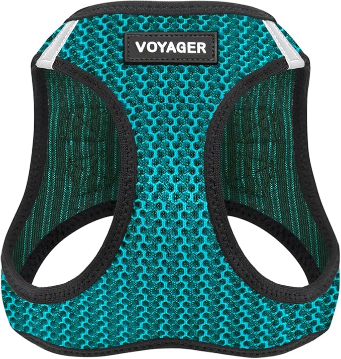 Best Pet Supplies Voyager Step-in Air Harness - All Weather Mesh, Reflective, No Pull Harness for Dogs, Cats - Secure with Hook & Loop Fastener, Buckle, Double D-Rings - Turquoise 2-Tone, L
