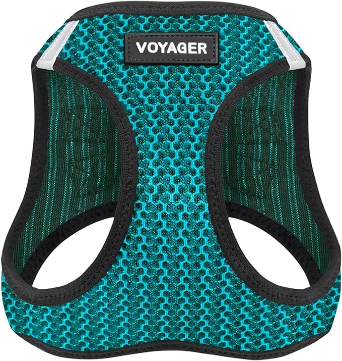 Voyager Step-in Air Dog Vest Harness - Turquoise 2-Tone, Small | 14.5-16" in Chest, Reflective Bands, All Weather Breathable Air Mesh, Cats Compatible, Lightweight, Fast Drying