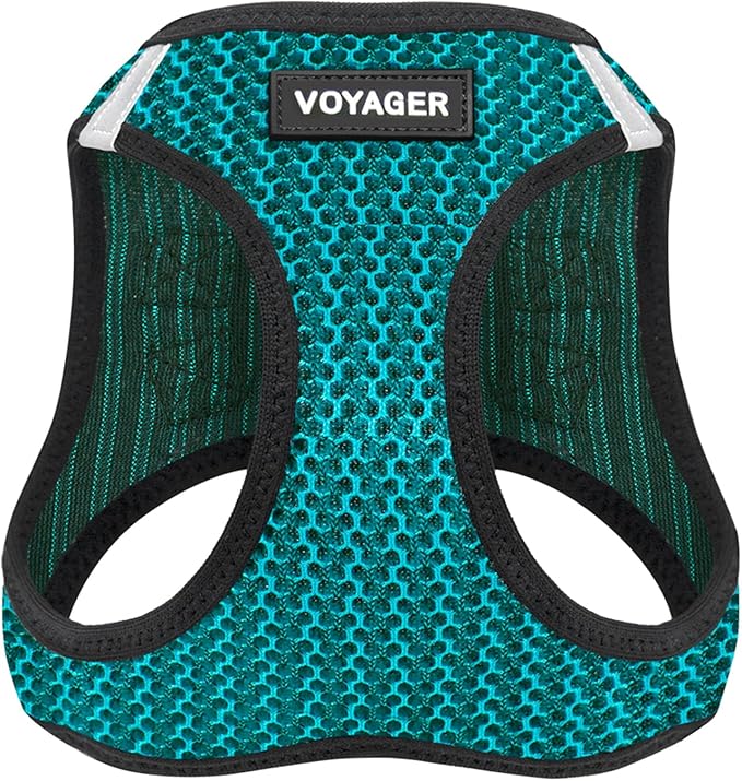 Voyager Step-in Air Dog Vest Harness - Turquoise 2-Tone, X-Small | 13 - 14.5" in Chest, Reflective Bands, All Weather Breathable Air Mesh, Cats Compatible, Lightweight, Fast Drying