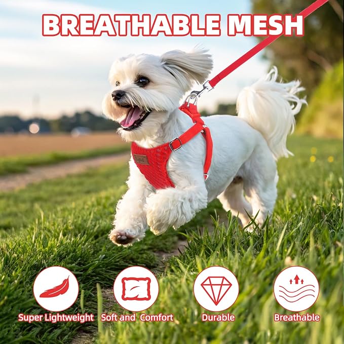 PUPTECK Dog Harness and Leash Set Small Sized, Lightweight Step-in Puppy Harness, Escape Proof No Pull Cute Pet Vest Harnesses, Red S