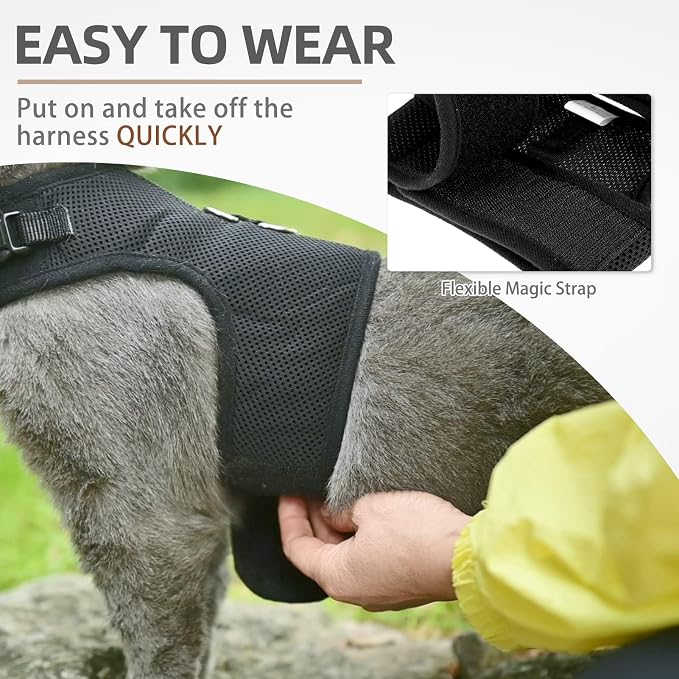PUPTECK Soft Mesh Cat Vest Harness and Leash Set Puppy Padded Pet Harnesses Escape Proof for Cats Small Dogs Rabbits Bunny, Black Medium