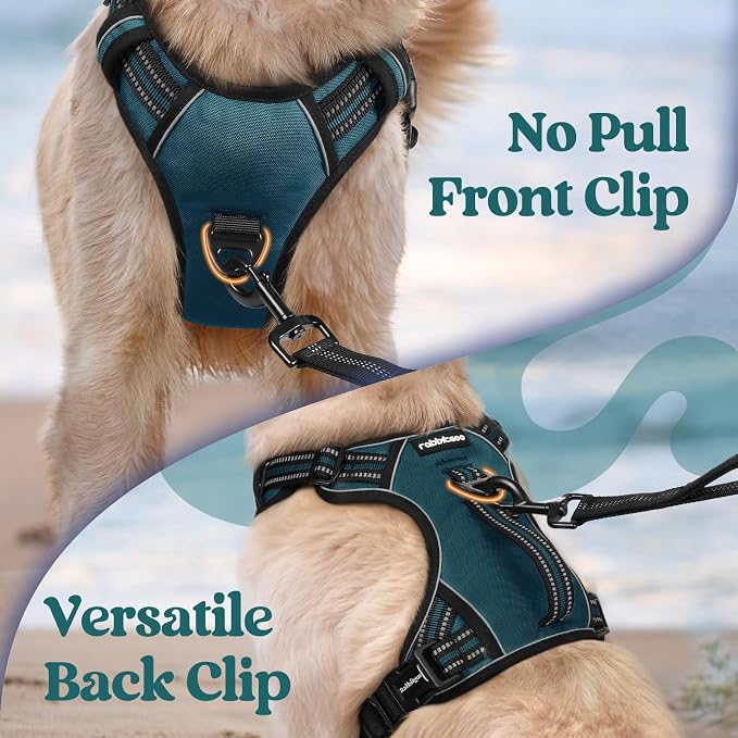 rabbitgoo Large Dog Harness, Easy Wear with 3 Buckles and Lift Handle | No Pull with Front Clip for Walking, Adjustable Soft Padded, Reflective, Easy Control, Green, X-Large