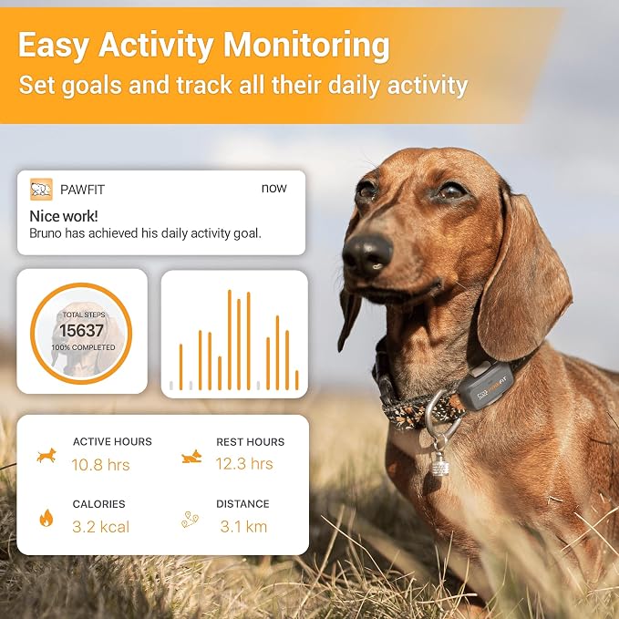 Pawfit Lite 4G GPS Dog Tracker, Live Tracking, Ultra-Light, Lilac Grey