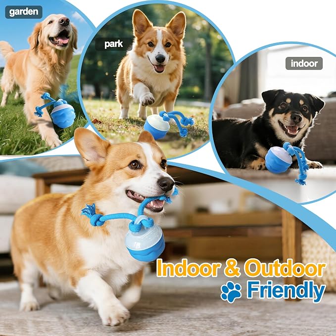 Interactive Dog Ball, Blue USB-C Rechargeable Rolling Toy | Touch activation starts rolling and chirping play modes for supervised indoor sessions