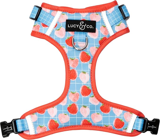 Lucy & Co. The Fresh Berries No-Pull Dog Harness - Size Small- Vest to Stop Pulling & Walk Easy - Comfortable Leash Training Product w/Adjustable Chest & Neck Straps