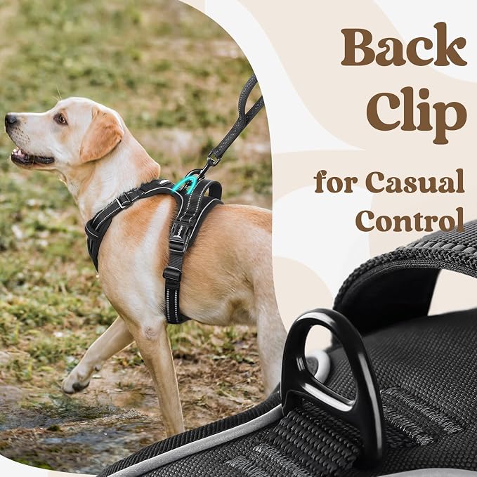 rabbitgoo Dog Harness for Large, Updated Easy On & Off with 3 Buckles | No Pull No Choke, Walking with 2 Clips and Handle, Adjustable Soft Reflective, Black, Large