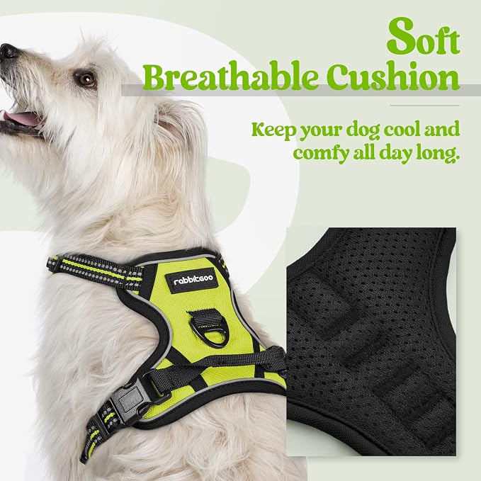 rabbitgoo Dog Harness No Pull with 2 Leash Clips, Adjustable Soft Padded, Reflective Oxford No Choke Pet Vest with Easy Control Handle for Puppy, Green, XS | No Choke with Handle, Adjustable Soft Padded, Reflective, Easy Control for Walking, Wild Lime,...