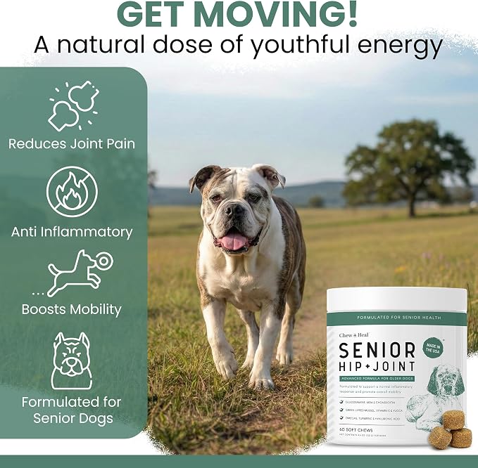 Glucosamine for Dogs Hip and Joint Supplement - 240 Soft Chews for Senior Dogs with Glucosamine, Chondroitin, MSM, Vitamin C, and Omegas - for Mobility, Cartilage, and Joint Health