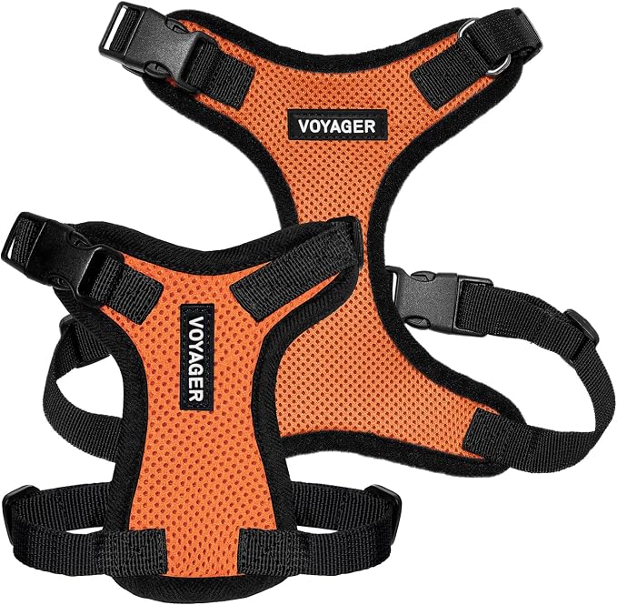 Voyager Step-in Lock Dog Harness - Orange/Black Trim, X-Large | 23 - 28" in Chest, Adjustable, Breathable Air Mesh, Lightweight for Daily Walks, Strong Clips, Heavy Duty D-Ring