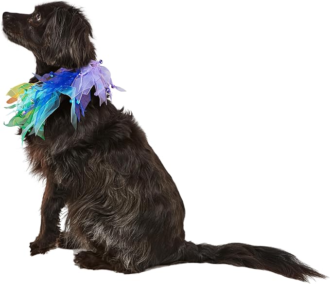 Rubies Decorative Rainbow Pet Collar for Dogs or Cats, L/XL