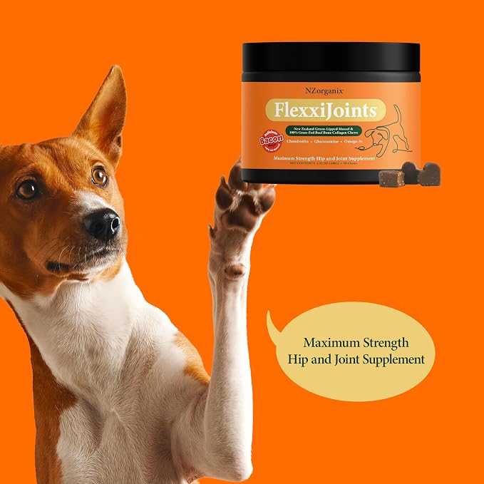 NZorganix FlexxiJoints Hip and Joint Supplement Chews for Dogs, Cats • 100% Grass-Fed Beef Bone Collagen New Zealand Green-Lipped Mussels • 200 Chews 2-Pack