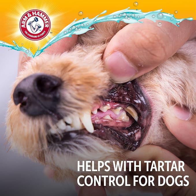 Arm & Hammer Complete Care Dog Dental Spray, Mint, 6 Fl Oz, 2-Pack | Brushless breath freshener with baking soda and calcium supports tooth enamel, fluoride-free formula