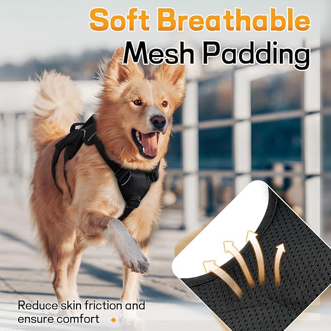 rabbitgoo Escape Proof Dog Harness for Large, No Pull with Lift Handle | No Escape, Full Soft Padded, Reflective Adjustable Vest, Leash Clip for Walking Hiking Training, Black, Large
