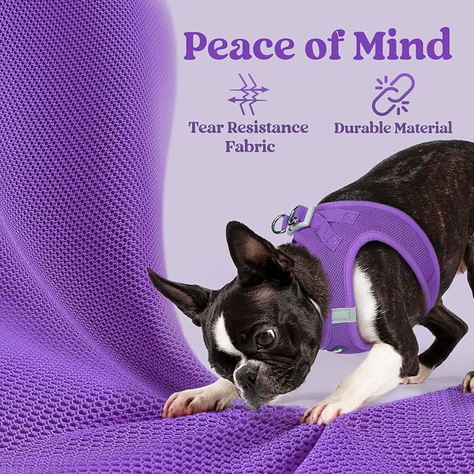 rabbitgoo Step-in Small Dog Harness, Puppy Vest for Small Sized Pet | Easy Put on and off, Lightweight, Soft, Breathable Quick-Dry Air Mesh for Comfortable Secure Walking, Purple XS