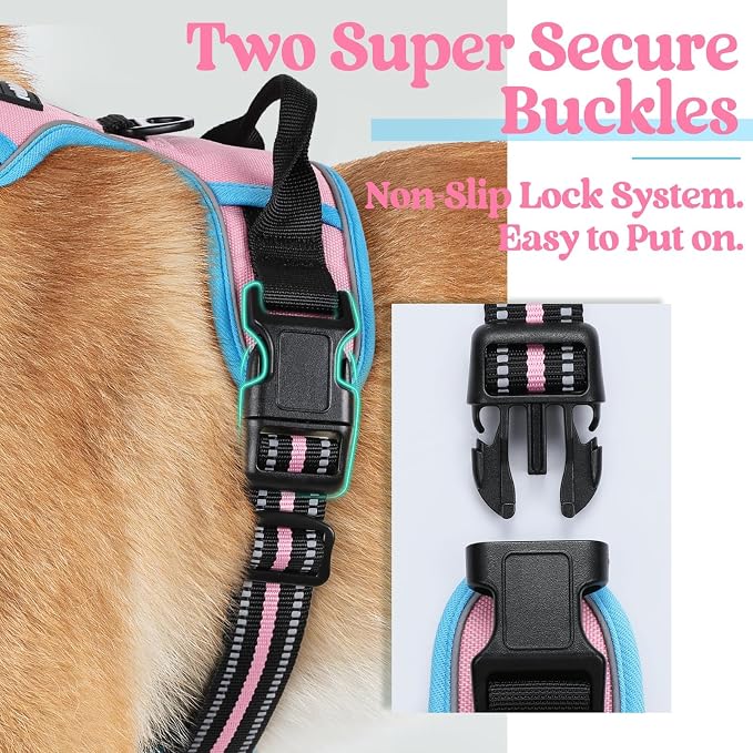 rabbitgoo Dog Harness, No Pull for Large Dogs with 2 Leash Clips, Pet Vest | No Choke with Handle, Adjustable Soft Padded, Reflective, Easy Control for Walking, Pink & Blue, X-Large