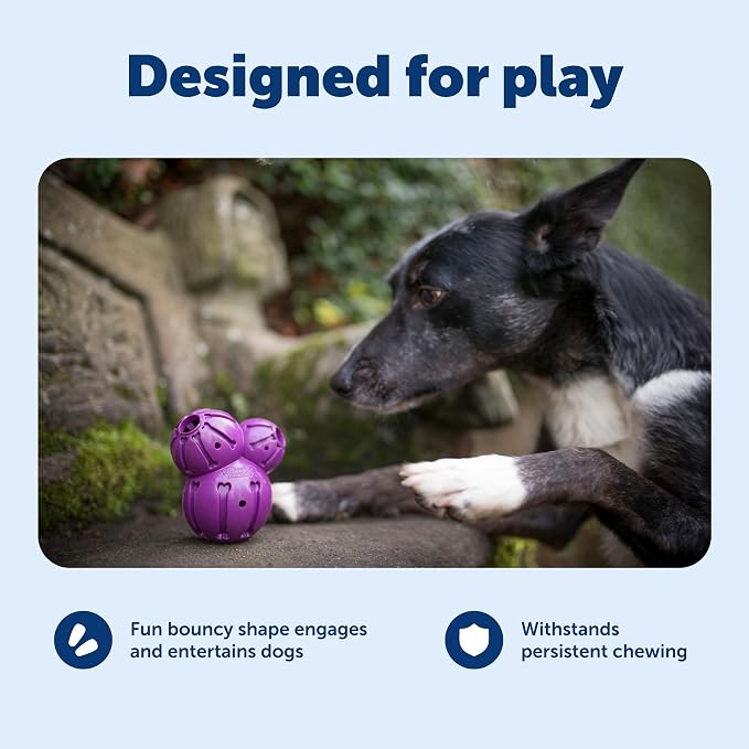 PetSafe Busy Buddy Barnacle Treat Dispensing Dog Toy, Medium | 3 Treat Meter Prongs Randomly Dispense Kibble, Bone-Shaped Grooves Hold Spreadable Treats Like Peanut Butter