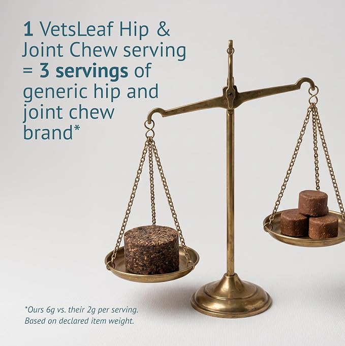 Hip and Joint Supplement for Dogs - Glucosamine, Chondroitin & MSM with Collagen, Boswellia & Devils Claw - 6g Per Chew - Made in USA - 60 Count