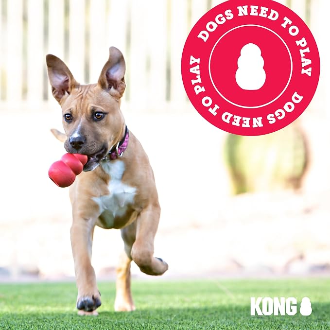 KONG Bounzer, Lightweight Rubber Fetch and Retrieve Toy, for Medium Dogs | Lightweight Oversized Classic-Shaped Rubber Toy with a Top Handle, Bounces Back for Fetch & Retrieve