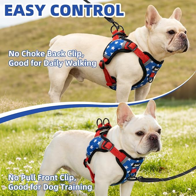 PUPTECK Dog Harness Small Sized Dog, Step in Adjustable Reflective Dog Vest Harness Escape Proof, No Pull Soft Padded Harness Easy Control, Star, M