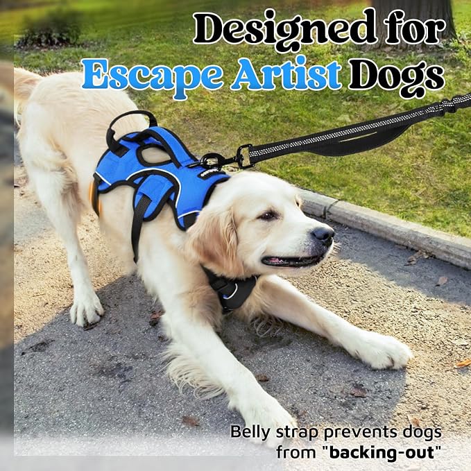 rabbitgoo Escape Proof Dog Harness for X-Large, No Pull with Lift Handle | No Escape, Full Soft Padded, Reflective Adjustable Vest, Leash Clip for Walking Hiking Training, Blue, X-Large