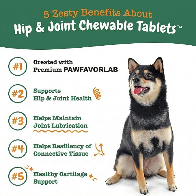 Hip & Joint Supplement for Dogs - Glucosamine, Chondroitin, MSM, Green Lipped Mussels & Turmeric - Natural Arthritis Pain Relief & Mobility Support for All Ages - 200 Soft Chews