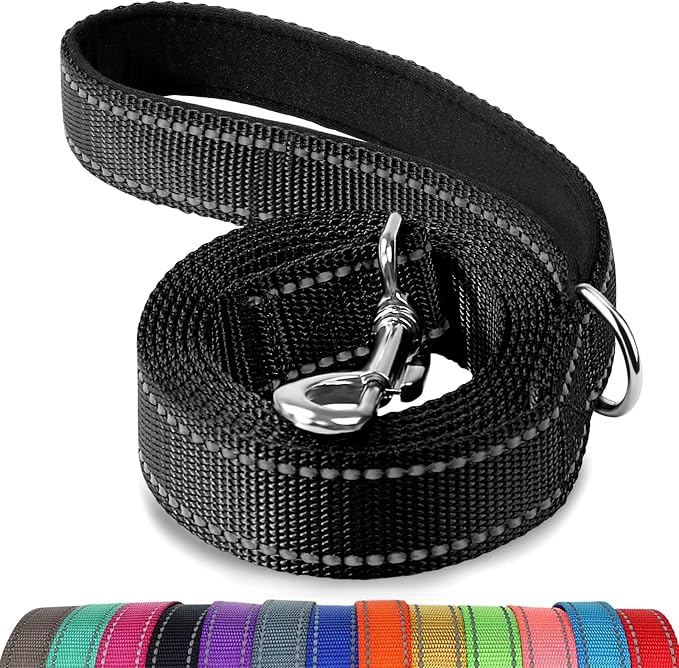 Joytale Reflective Dog Leash for Small Dogs, 4 FT x 3/4", Black | Heavy Duty Nylon Webbing, Padded Handle for Comfort, Visible at Night, for Walking & Training