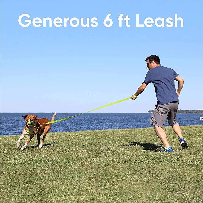 Pawtitas Solid 6 ft Grey Dog Leash M/L Custom Name and Phone Embroidery Strong Nylon Leash for Medium and Large Breeds