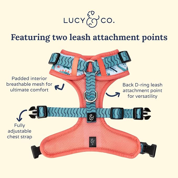 Lucy & Co. Cute No-Pull DinoROAR! Harness - Stop Pulling & Walk Easy - Harness Available in XS-XL for Small, Medium, and Large Dogs - DinoROAR! (Medium)