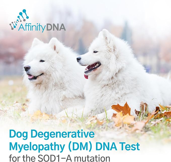 Dog Degenerative Myelopathy (DM) DNA Test