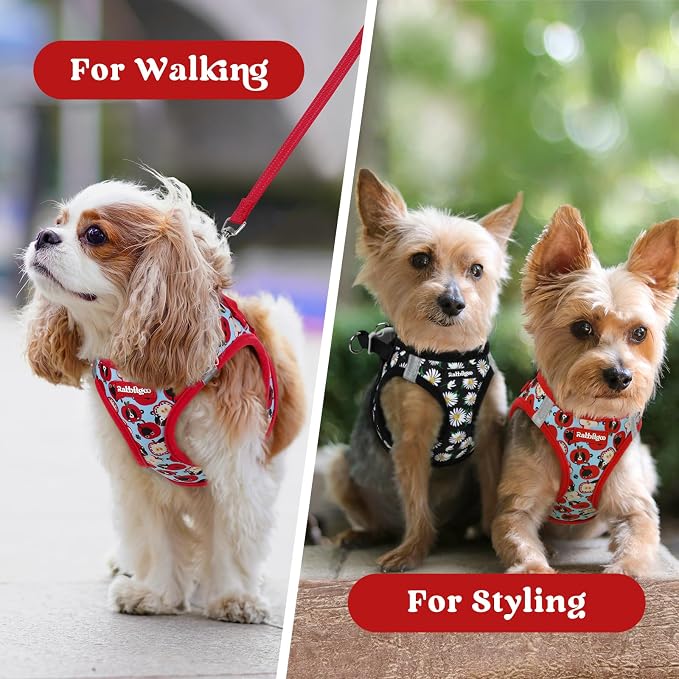 rabbitgoo Step-in Small Dog Harness, Puppy Vest for Small Sized Pet | Easy Put on and off, Lightweight, Soft, Breathable Quick-Dry Air Mesh for Comfortable Secure Walking, Apple Pups XS