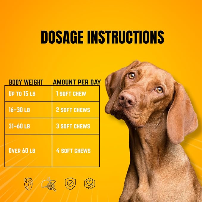 Dog Probiotic Soft Chews – Gut Health & Digestive Support with 1.5 Billion CFU Probiotics, Prebiotics & Enzymes – Helps Improve Stool Quality – All Breeds