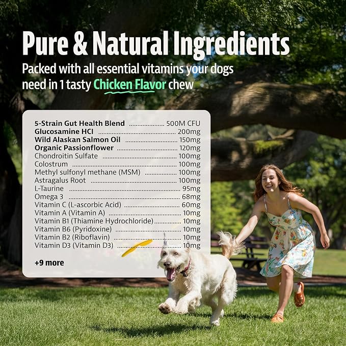 25-in-1 Dog Multivitamin (100 Chews) - Joint, Skin & Coat, Digestive, Immune & Calming Support - Daily Human Dog Vitamins with Glucosamine, Probiotics & Omega 3 - Chicken Flavor