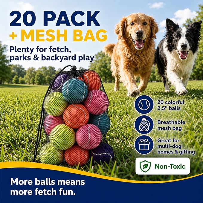 INSUM Tennis Balls for Dogs, 2.5'' 20 Pack Bulk Fetch Dog Balls | Durable Non-toxic Safe for Dogs, Great for Fetch, Backyard Play, Multi-dog Families
