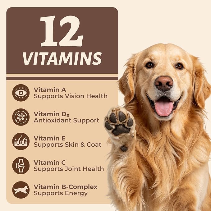Wellix 12-Vitamin Dog Treats for Immune Support, Crunchy Dog Biscuits