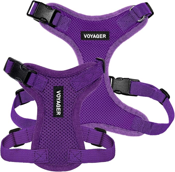 Voyager Step-in Lock Dog Harness - Purple, Small | 15 - 18" in Chest, Adjustable, Breathable Air Mesh, Lightweight for Daily Walks, Strong Clips, Heavy Duty D-Ring