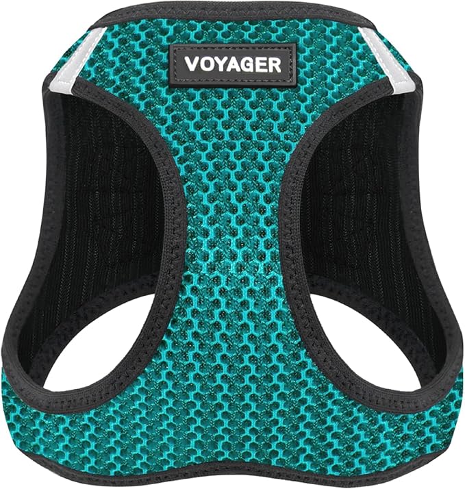 Voyager Step-in Air Dog Vest Harness - Turquoise 2-Tone, Small | 14.5-16" in Chest, Reflective Bands, All Weather Breathable Air Mesh, Cats Compatible, Lightweight, Fast Drying
