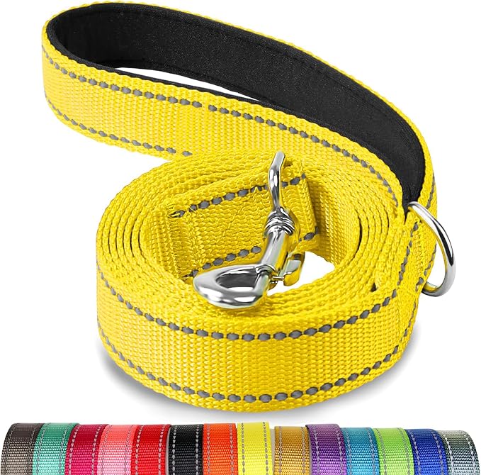 Joytale Reflective Dog Leash for Medium & Large Dogs, 5 FT x 1", Yellow | Heavy Duty Nylon Webbing, Padded Handle for Comfort, Visible at Night, for Walking & Training