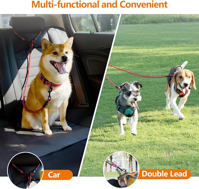 Taglory Double Dog Leash Coupler for Two Dogs, 1/3" Lightweight Dual Leash Extension for Small and Medium Dogs, No Tangle 360° Swivel, Reflective Rope, 30 Inch, Red