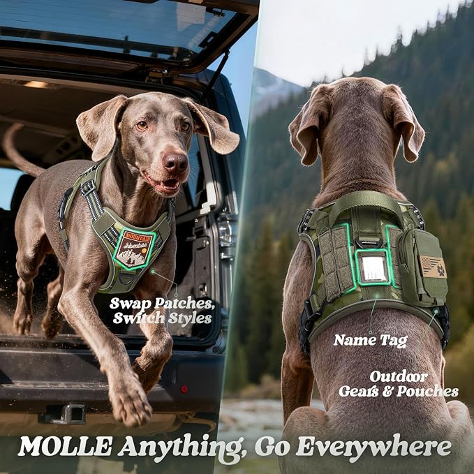 rabbitgoo Tactical Dog Harness for Small Dogs, No Pull Service Pet Vest | Military Molle System & Easy Control Handle, Adjustable and Reflective for Walking and Training, Green Camo, Small