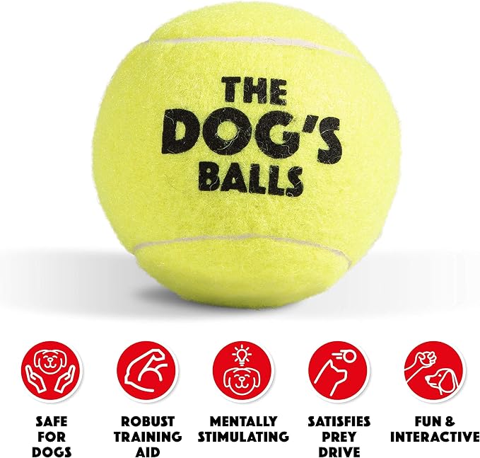 The Big Dog’s Balls Large Dog Tennis Balls 3-Pack Yellow Floats in Water | Our fetch balls combine non-abrasive felt exterior and a thicker rubber core Durable Dog Toy for Outdoor Play & Training