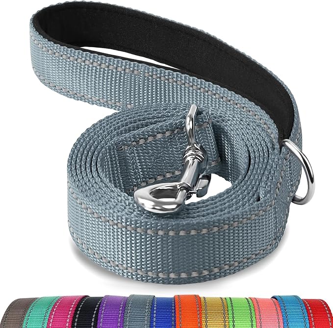 Joytale Reflective Dog Leash for Medium & Large Dogs, 5 FT x 1", Gray | Heavy Duty Nylon Webbing, Padded Handle for Comfort, Visible at Night, for Walking & Training